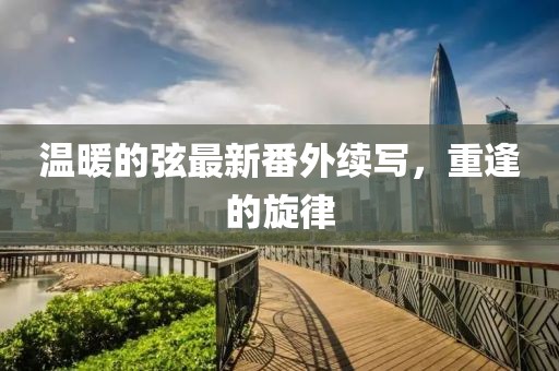 溫暖的弦最新番外續(xù)寫，重逢的旋律