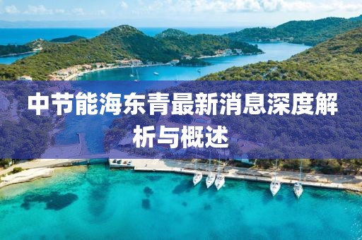 中節(jié)能海東青最新消息深度解析與概述