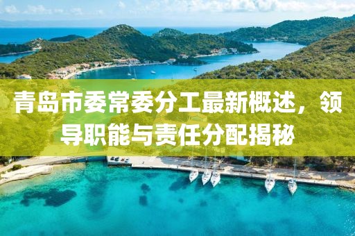 青島市委常委分工最新概述，領(lǐng)導(dǎo)職能與責(zé)任分配揭秘