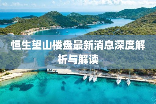 恒生望山樓盤最新消息深度解析與解讀