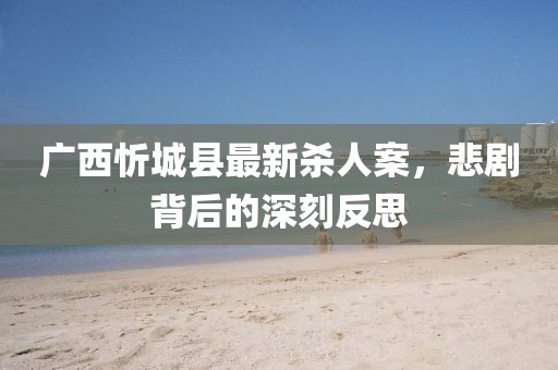 廣西忻城縣最新殺人案，悲劇背后的深刻反思