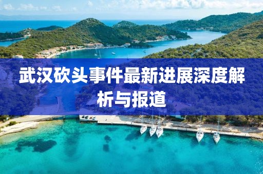 武漢砍頭事件最新進展深度解析與報道