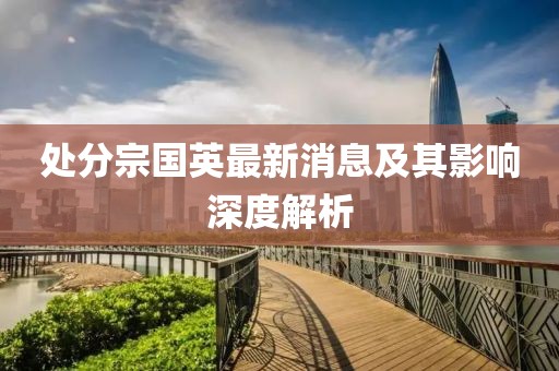 處分宗國英最新消息及其影響深度解析