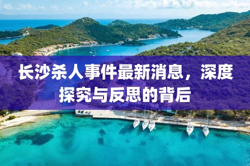 長沙殺人事件最新消息，深度探究與反思的背后