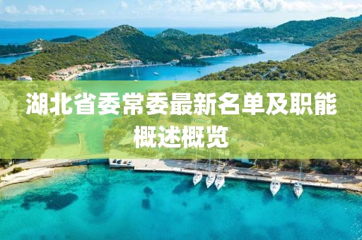 湖北省委常委最新名單及職能概述概覽