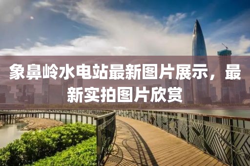 象鼻嶺水電站最新圖片展示，最新實拍圖片欣賞