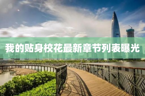 我的貼身校花最新章節(jié)列表曝光