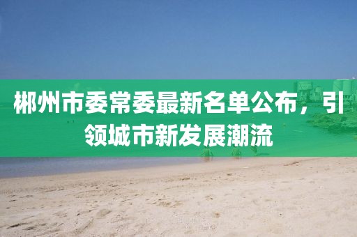 郴州市委常委最新名單公布，引領(lǐng)城市新發(fā)展潮流