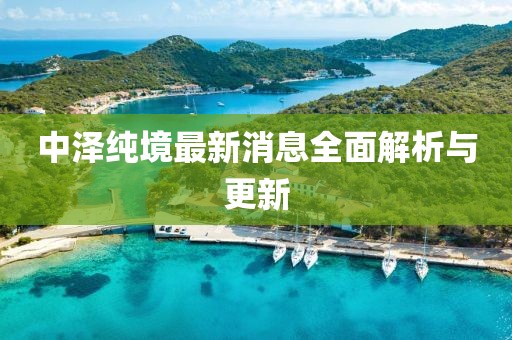 中澤純境最新消息全面解析與更新