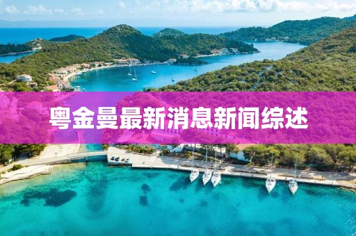 粵金曼最新消息新聞綜述