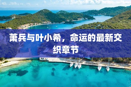 蕭兵與葉小希，命運(yùn)的最新交織章節(jié)
