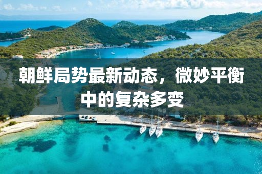 朝鮮局勢最新動態(tài)，微妙平衡中的復雜多變
