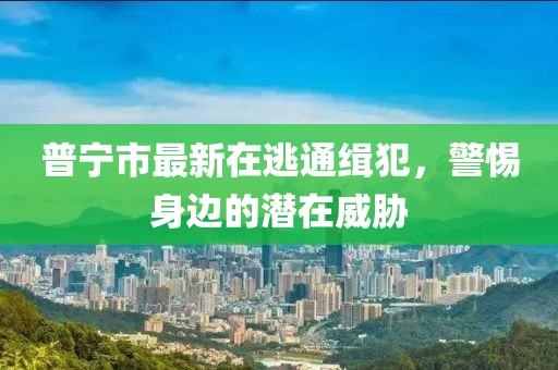 普寧市最新在逃通緝犯，警惕身邊的潛在威脅