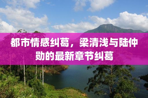 都市情感糾葛，梁清淺與陸仲勛的最新章節(jié)糾葛