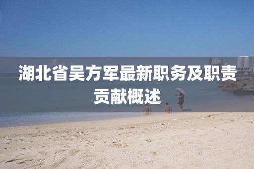 湖北省吳方軍最新職務(wù)及職責(zé)貢獻(xiàn)概述