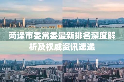 菏澤市委常委最新排名深度解析及權(quán)威資訊速遞