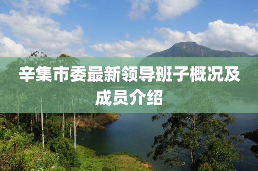 辛集市委最新領(lǐng)導(dǎo)班子概況及成員介紹