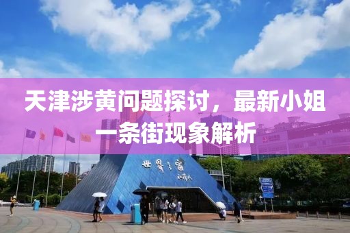 天津涉黃問題探討，最新小姐一條街現(xiàn)象解析