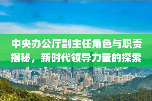 中央辦公廳副主任角色與職責(zé)揭秘，新時(shí)代領(lǐng)導(dǎo)力量的探索