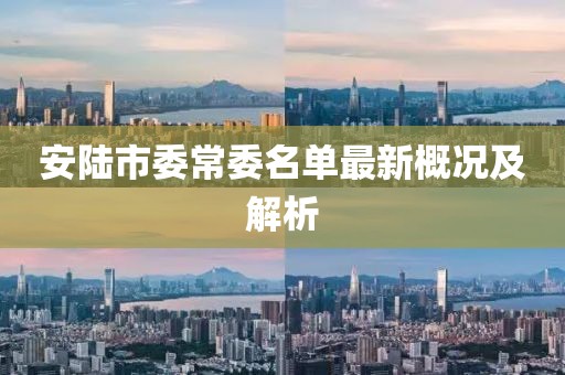 安陸市委常委名單最新概況及解析