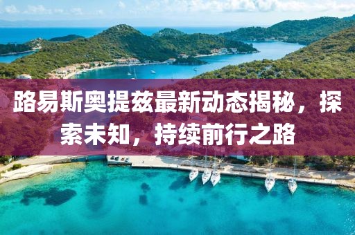 路易斯奧提茲最新動態(tài)揭秘，探索未知，持續(xù)前行之路