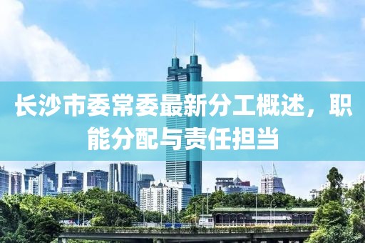 長(zhǎng)沙市委常委最新分工概述，職能分配與責(zé)任擔(dān)當(dāng)