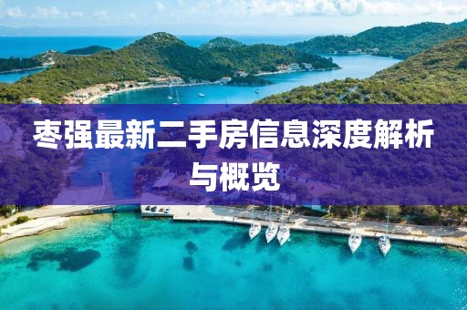 棗強(qiáng)最新二手房信息深度解析與概覽