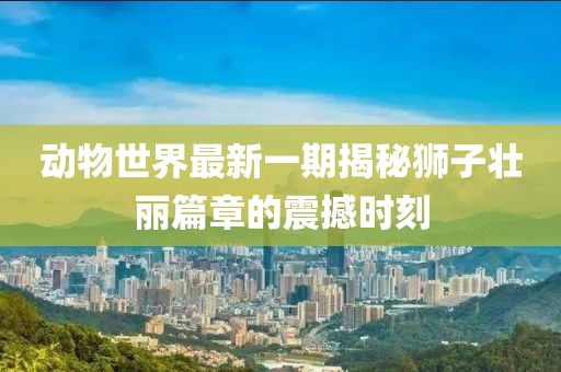 動(dòng)物世界最新一期揭秘獅子壯麗篇章的震撼時(shí)刻