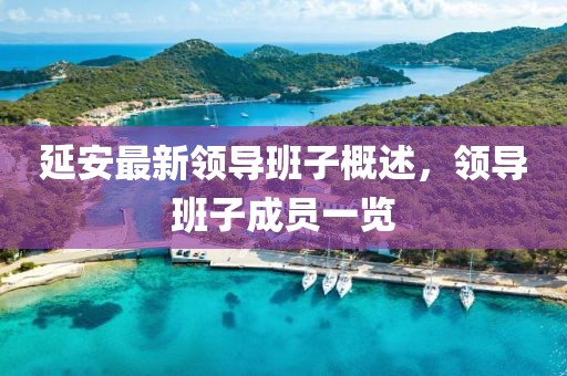延安最新領導班子概述，領導班子成員一覽