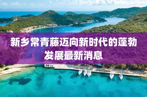 新鄉(xiāng)常青藤邁向新時(shí)代的蓬勃發(fā)展最新消息