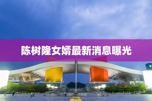 陳樹隆女婿最新消息曝光
