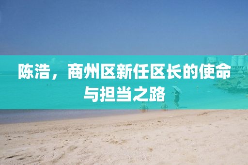 陳浩，商州區(qū)新任區(qū)長(zhǎng)的使命與擔(dān)當(dāng)之路