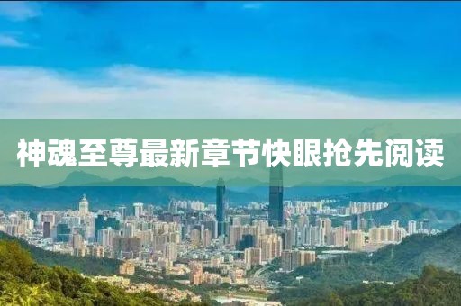 神魂至尊最新章節(jié)快眼搶先閱讀