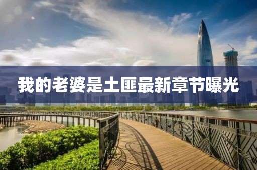 我的老婆是土匪最新章節(jié)曝光