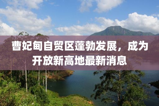 曹妃甸自貿(mào)區(qū)蓬勃發(fā)展，成為開放新高地最新消息