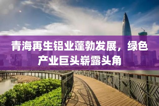 青海再生鋁業(yè)蓬勃發(fā)展，綠色產(chǎn)業(yè)巨頭嶄露頭角