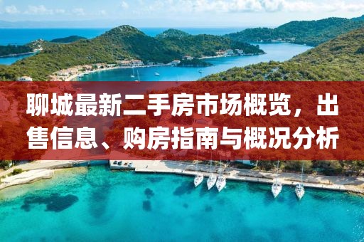 聊城最新二手房市場概覽，出售信息、購房指南與概況分析