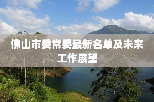 佛山市委常委最新名單及未來工作展望