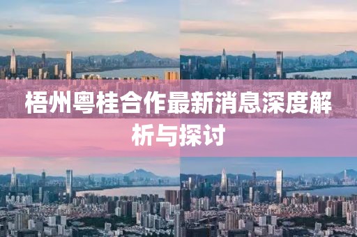 梧州粵桂合作最新消息深度解析與探討