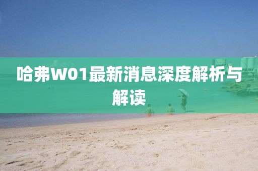 哈弗W01最新消息深度解析與解讀