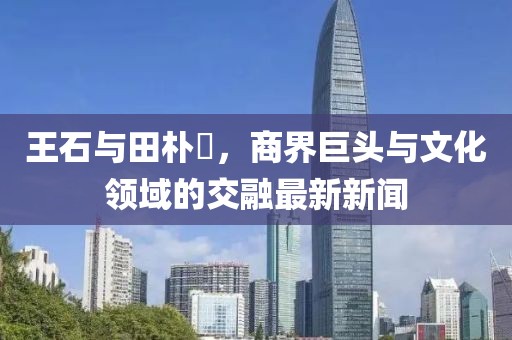 王石與田樸琤，商界巨頭與文化領(lǐng)域的交融最新新聞