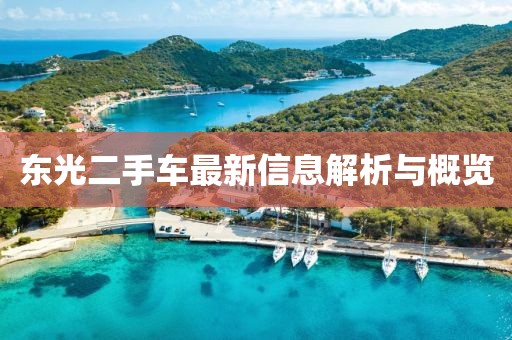 東光二手車最新信息解析與概覽