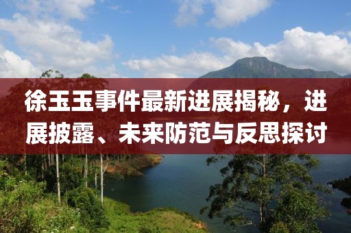 徐玉玉事件最新進(jìn)展揭秘，進(jìn)展披露、未來防范與反思探討