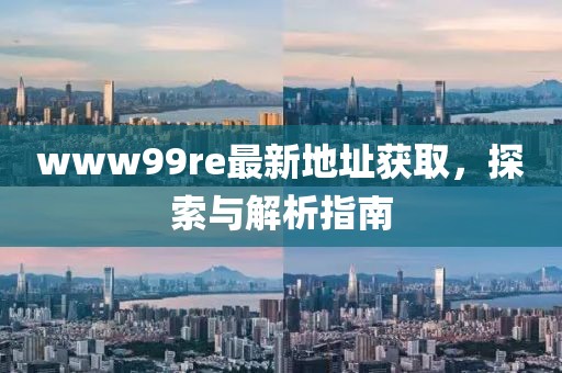 www99re最新地址獲取，探索與解析指南
