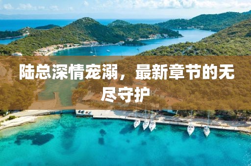 陸總深情寵溺，最新章節(jié)的無盡守護(hù)