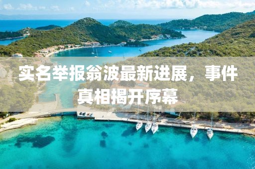 實名舉報翁波最新進展，事件真相揭開序幕