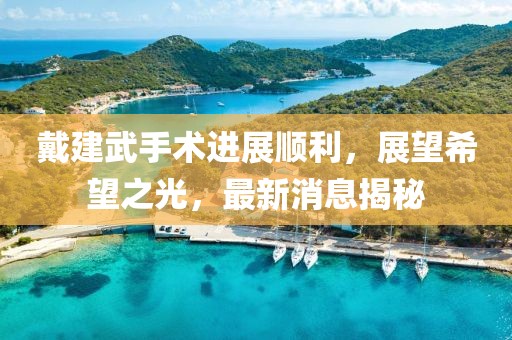 戴建武手術(shù)進(jìn)展順利，展望希望之光，最新消息揭秘