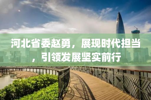 河北省委趙勇，展現(xiàn)時(shí)代擔(dān)當(dāng)，引領(lǐng)發(fā)展堅(jiān)實(shí)前行
