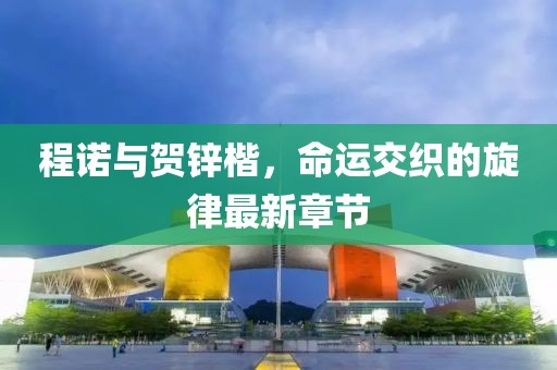 程諾與賀鋅楷，命運(yùn)交織的旋律最新章節(jié)