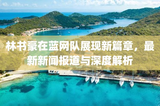 林書豪在藍網(wǎng)隊展現(xiàn)新篇章，最新新聞報道與深度解析